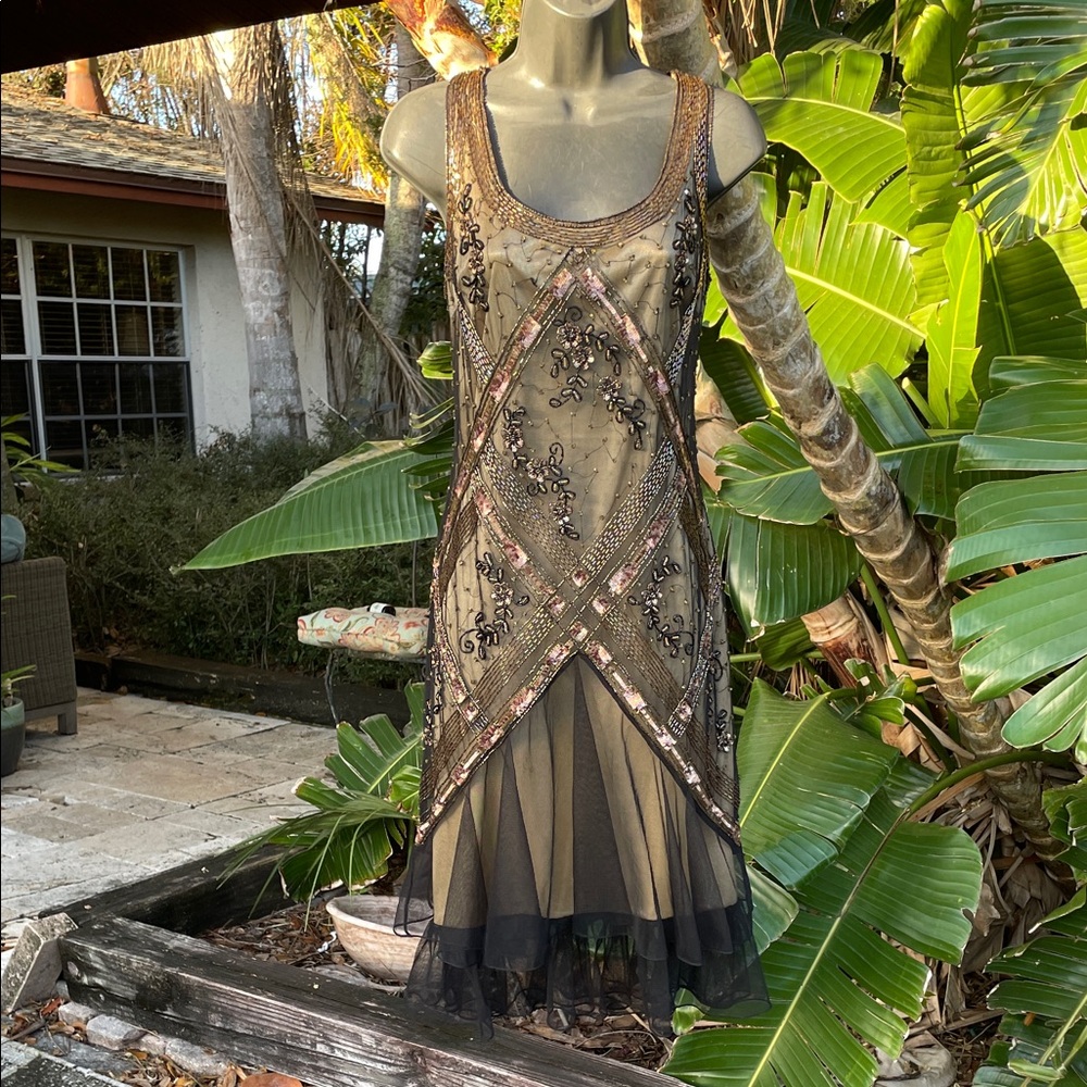 Sheer mesh drop waist beaded, and sequin dress.